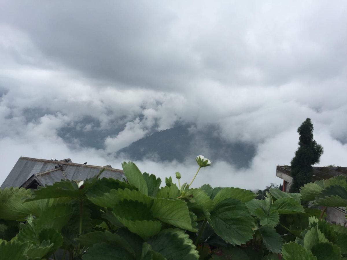 Benus Lejlighed Darjeeling  Eksteriør billede